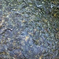 Chanleufu River