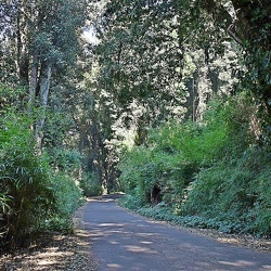 Landscapes