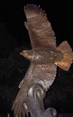 University of North Texas