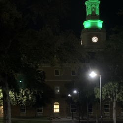 UNT