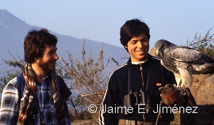 1984 Eduardo Pavez Jaime Jimenez