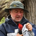 2012 Magellanic Woodpecker