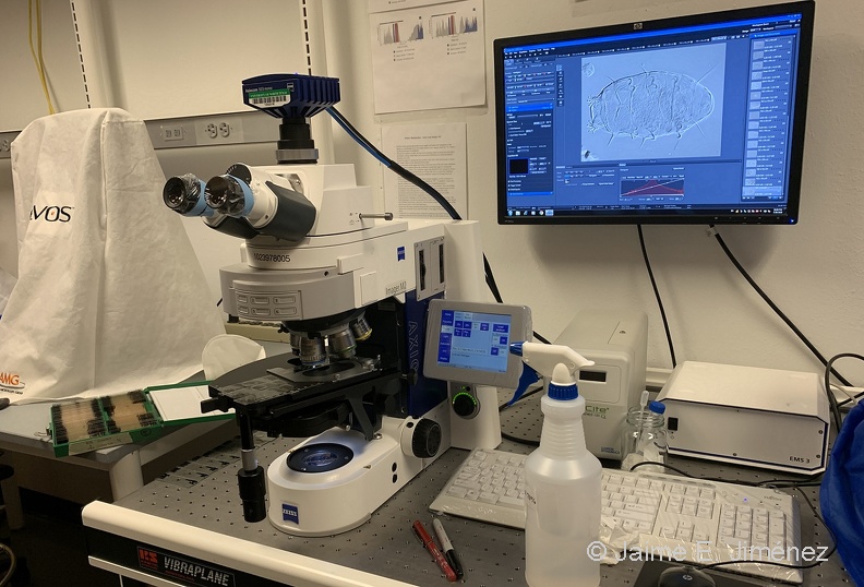 2020_Tardigrade_Microscope_UNT_2.jpg