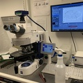 2020 Tardigrade Microscope UNT