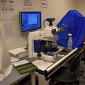 2020 Tardigrade Research, Microscope, UNT, TX