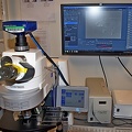 2020 Tardigrade Research, Microscope, UNT, TX
