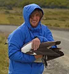 Michael Robertson Upalnd Goose male