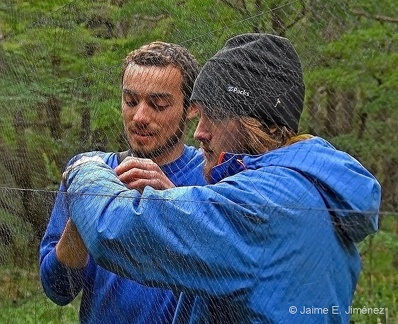 Nicholas Russo & Michael Robertson Mist Netting