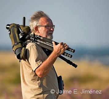 2018 Birding with Thomas Laessoe Copenhagen Denmark