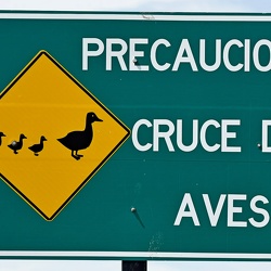 Signage